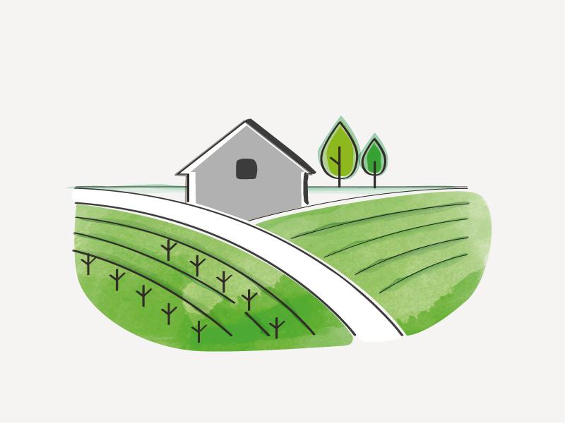 Online Erdwäre vor Ort